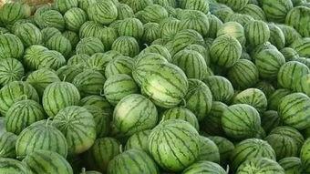 暗吃瓜网今日吃瓜