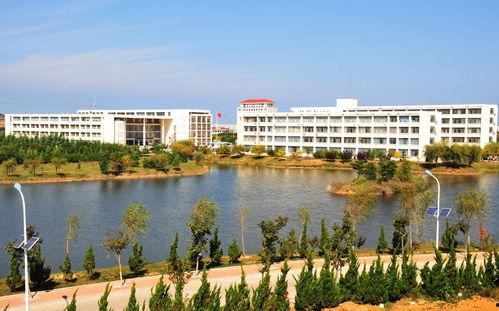 吃瓜网潍坊学院,吃瓜网带你揭秘校园生活点滴